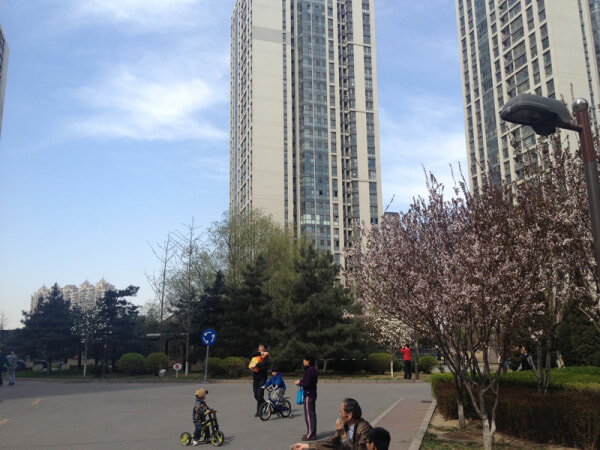 天居园 2室1厅 140平米